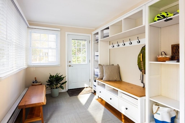 mudroom featuring ornamental molding