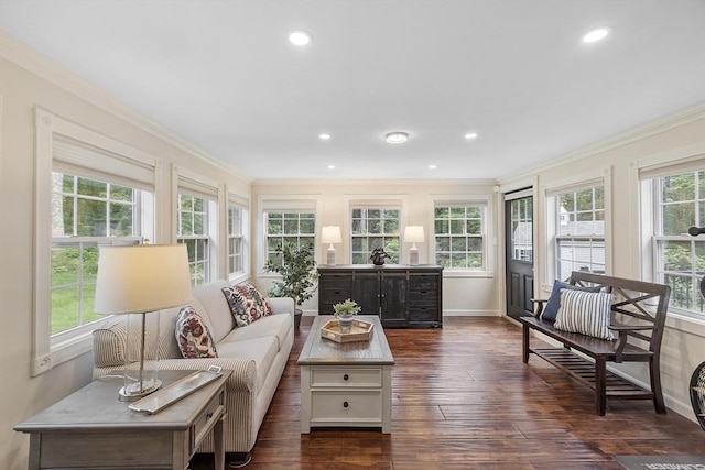 40 Abbott Ln, Chelmsford, MA 01824 - living area with crown molding, dark wood-style floors, and recessed lighting