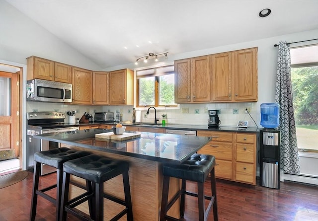 30 Pheasant Ln, Pembroke, MA 02359 - kitchen featuring appliances with stainless steel finishes, lofted ceiling, a sink, dark wood-style floors, and healthy amount of natural light