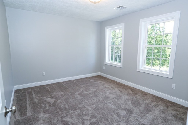 carpeted spare room with a textured ceiling and plenty of natural light