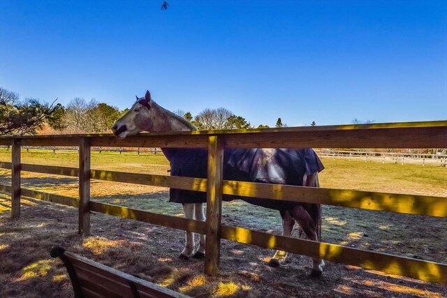 26 Crosswinds Way, Falmouth, MA 02536 - exterior space with a rural view