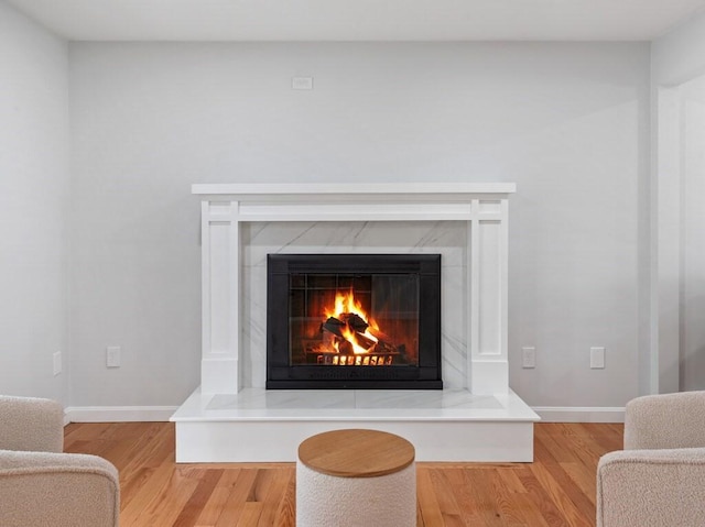 details featuring a premium fireplace, baseboards, and wood finished floors