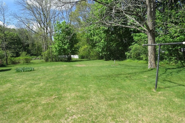 view of grassy yard