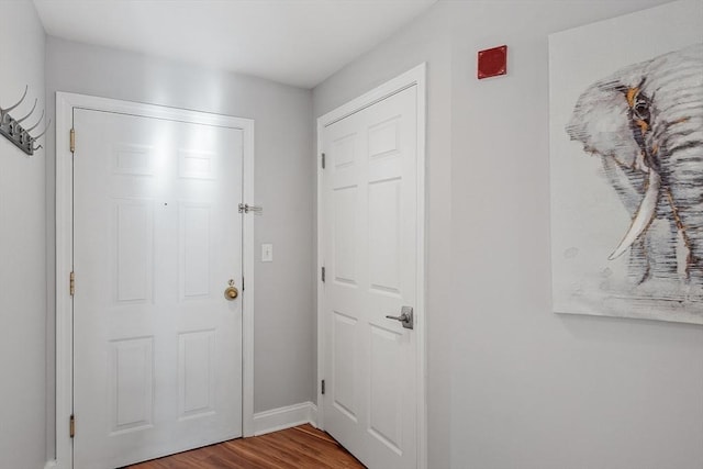 doorway to outside featuring hardwood / wood-style floors