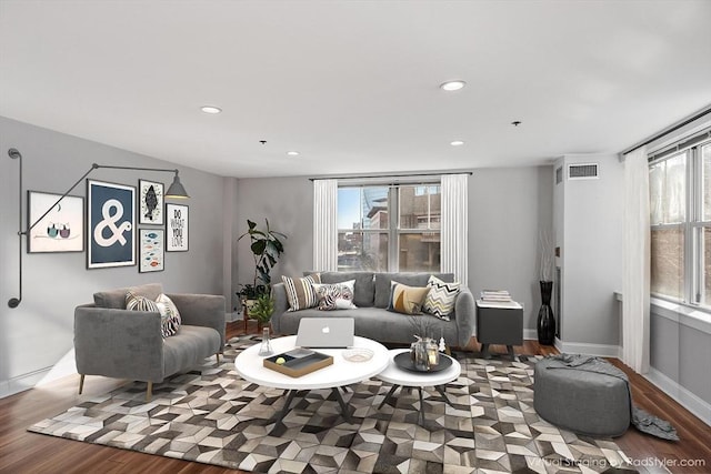 living room featuring wood-type flooring