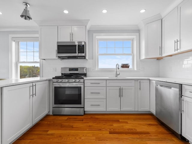 kitchen with a sink, appliances with stainless steel finishes, a healthy amount of sunlight, and light countertops