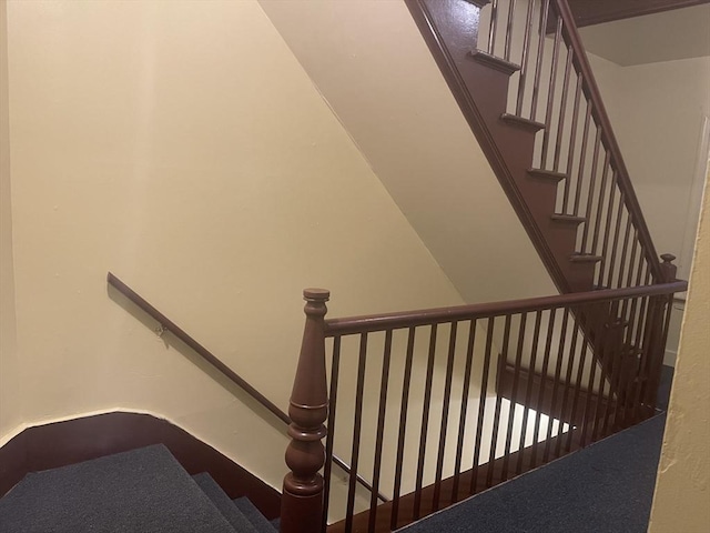 stairs featuring carpet floors