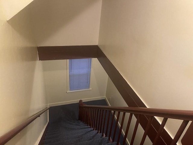 stairs featuring carpet floors