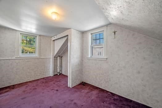 additional living space featuring lofted ceiling, carpet, and a healthy amount of sunlight