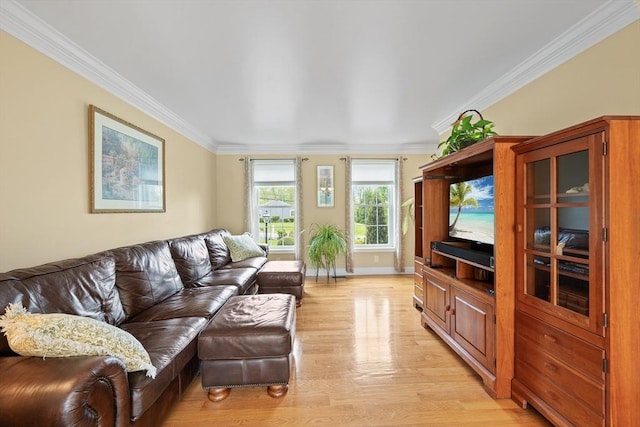 172 Orchard St, Newbury, MA 01922 - living room featuring light wood finished floors, crown molding, and baseboards