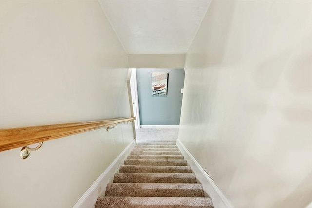 stairs featuring carpet flooring