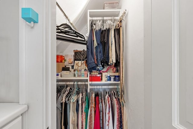 view of walk in closet