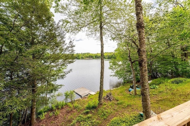 64 Porcupine Point Rd, Tolland, MA 01034 - water view