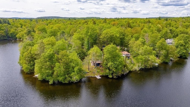 64 Porcupine Point Rd, Tolland, MA 01034 - aerial view of a heavily wooded area and a nearby body of water