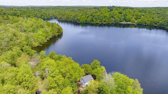64 Porcupine Point Rd, Tolland, MA 01034 - drone / aerial view of a heavily wooded area and a nearby body of water