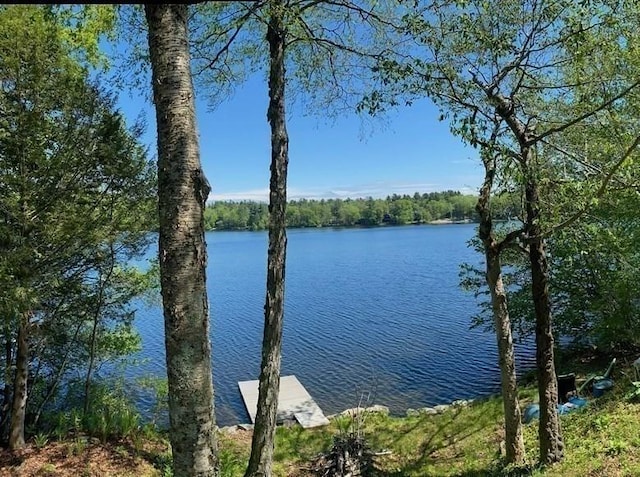 64 Porcupine Point Rd, Tolland, MA 01034 - water view
