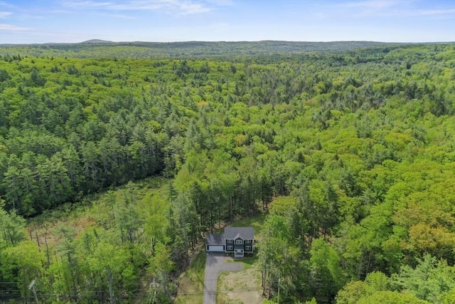 1076 King Phillip Trl, Templeton, MA 01468 - view of subject property with a forest