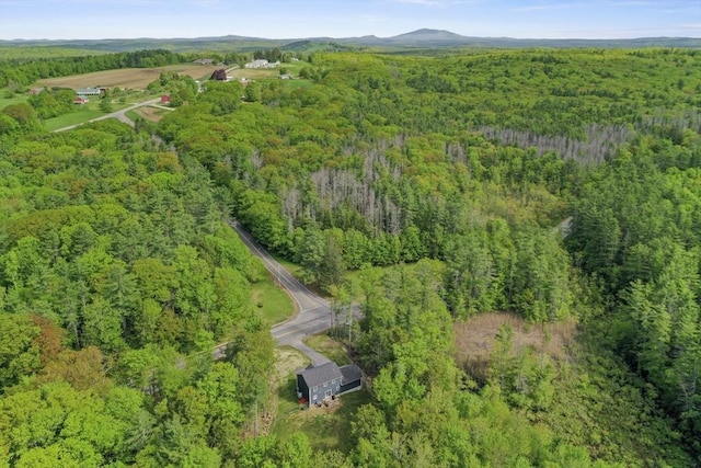 1076 King Phillip Trl, Templeton, MA 01468 - aerial overview of property's location with a forest and a mountain backdrop