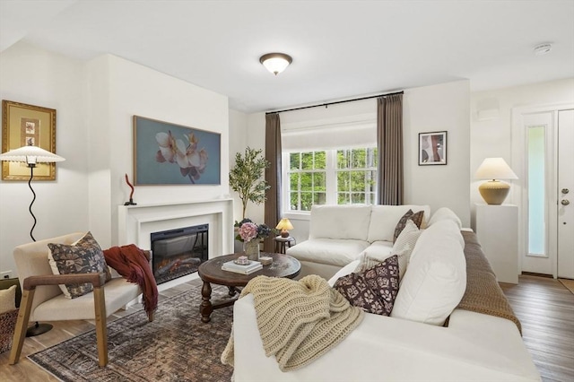 1076 King Phillip Trl, Templeton, MA 01468 - living room featuring wood finished floors and a glass covered fireplace