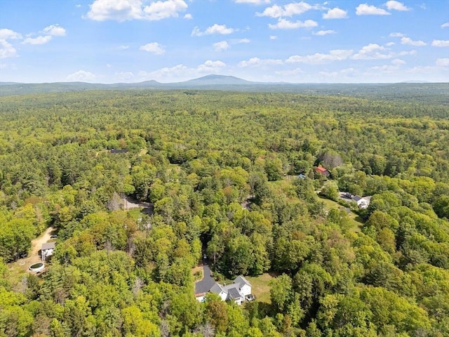 728 River St, Winchendon, MA 01475 - drone / aerial view of a forest