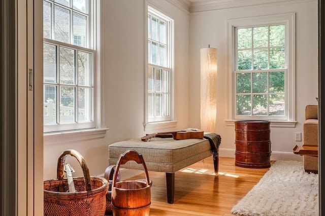 sitting room with baseboards and light wood finished floors