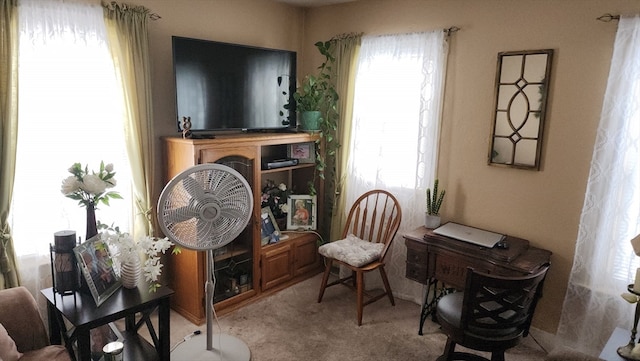 sitting room with carpet