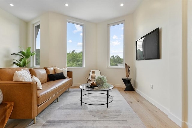 living area featuring light hardwood / wood-style floors