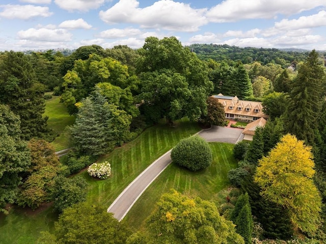 aerial view with a forest view