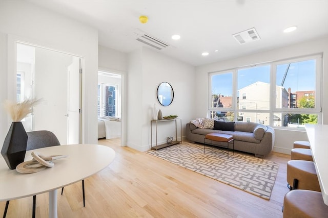 living room with wood-type flooring