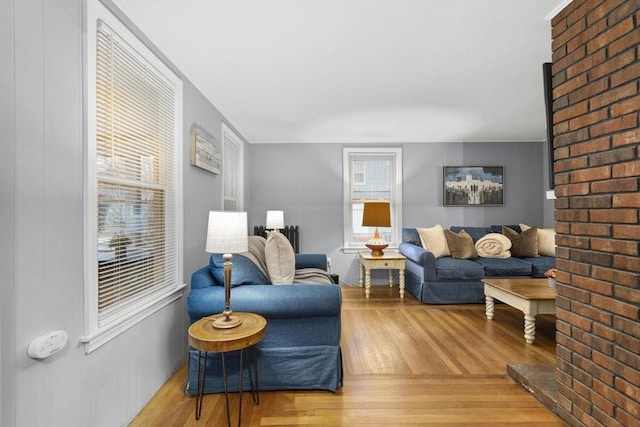 living room featuring wood finished floors