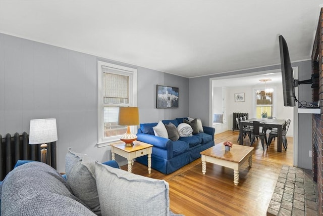 living room with radiator, a healthy amount of sunlight, and light wood-style flooring