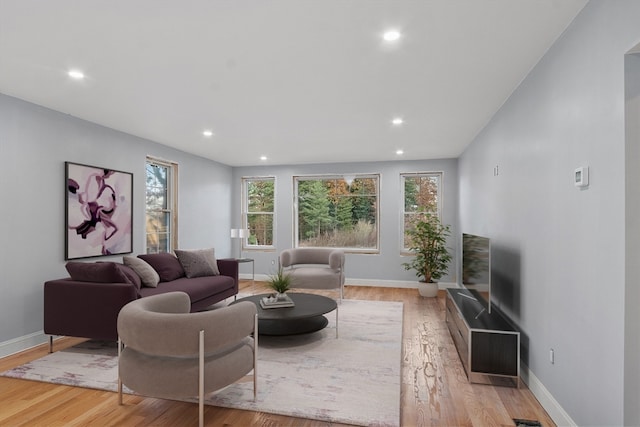 living room with light hardwood / wood-style flooring