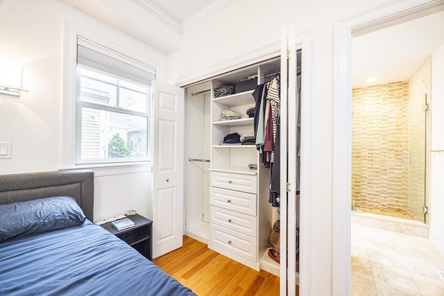 19 Harris St Unit 2, Brookline, MA 02446 - bedroom with ornamental molding and light wood finished floors