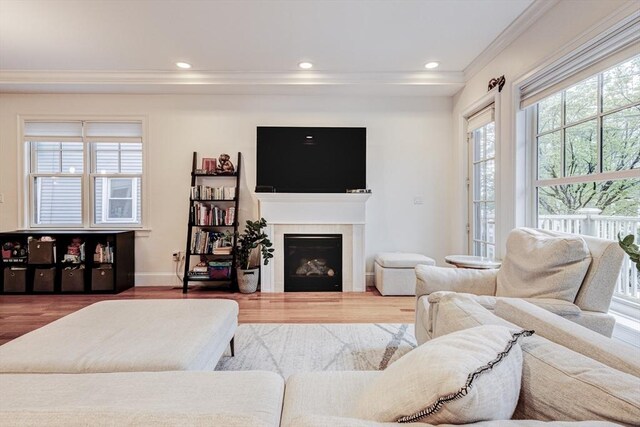 19 Harris St Unit 2, Brookline, MA 02446 - living room with ornamental molding, wood finished floors, baseboards, a fireplace, and recessed lighting