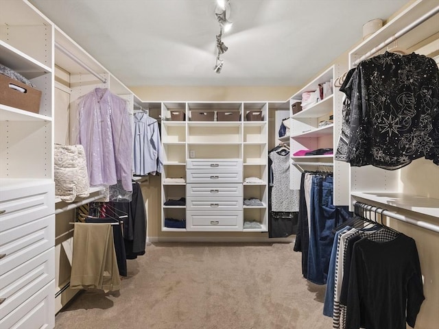 200 Newtown Rd, Acton, MA 01720 - walk in closet featuring carpet flooring