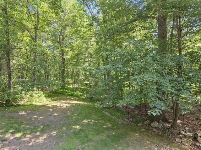 200 Newtown Rd, Acton, MA 01720 - view of wooded area