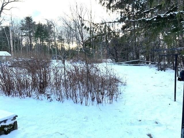 view of snowy yard