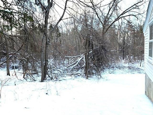 view of yard covered in snow