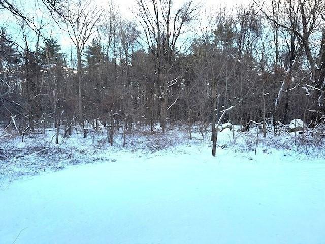 view of snow covered land