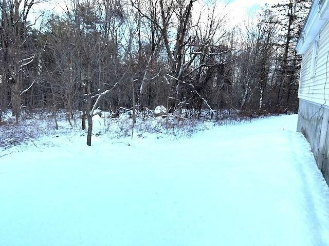 view of yard covered in snow