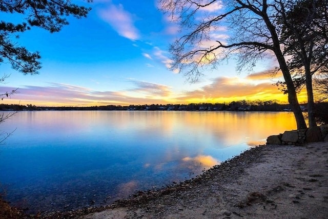 property view of water