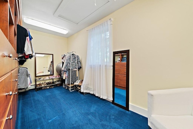 141 Cornell St, Newton, MA 02462 - spacious closet with carpet flooring