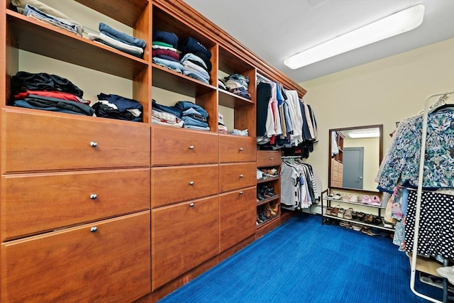 141 Cornell St, Newton, MA 02462 - walk in closet with dark carpet