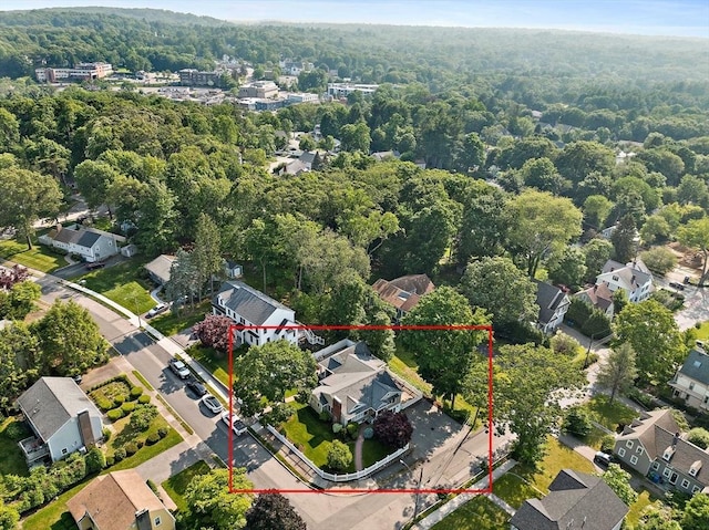 141 Cornell St, Newton, MA 02462 - aerial view of residential area featuring a heavily wooded area and property boundaries highlighted