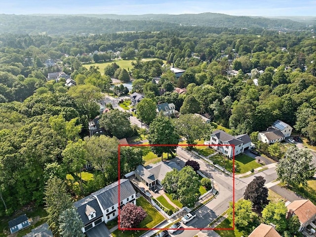 141 Cornell St, Newton, MA 02462 - aerial perspective of suburban area with a forest and property boundaries highlighted