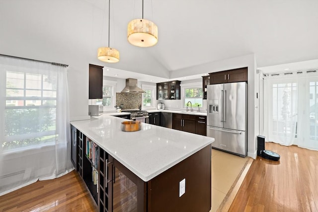 141 Cornell St, Newton, MA 02462 - kitchen featuring stainless steel appliances, wall chimney exhaust hood, light wood-style flooring, dark brown cabinetry, and vaulted ceiling