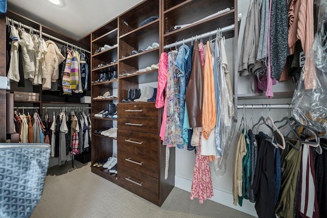 walk in closet featuring carpet