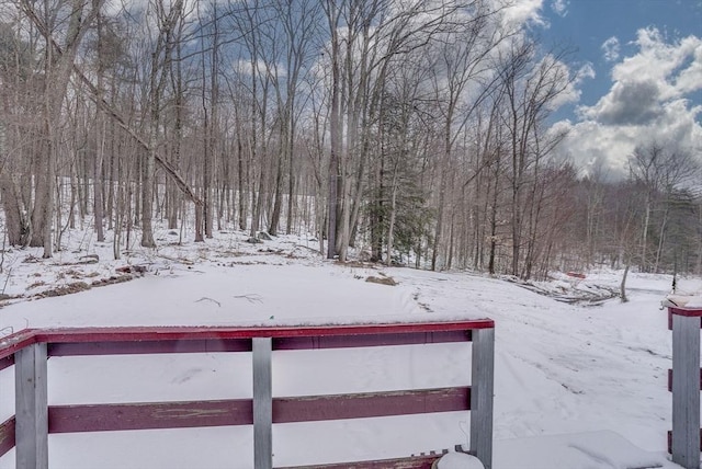 view of yard covered in snow