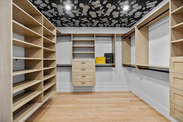 walk in closet featuring light wood-style floors