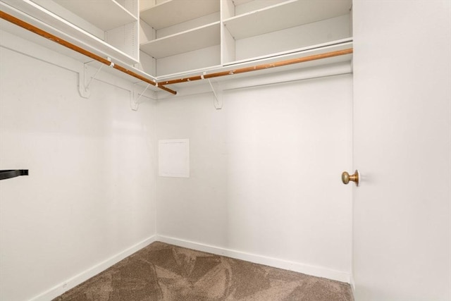 567 Tremont St Unit 20, Boston, MA 02118 - walk in closet featuring carpet